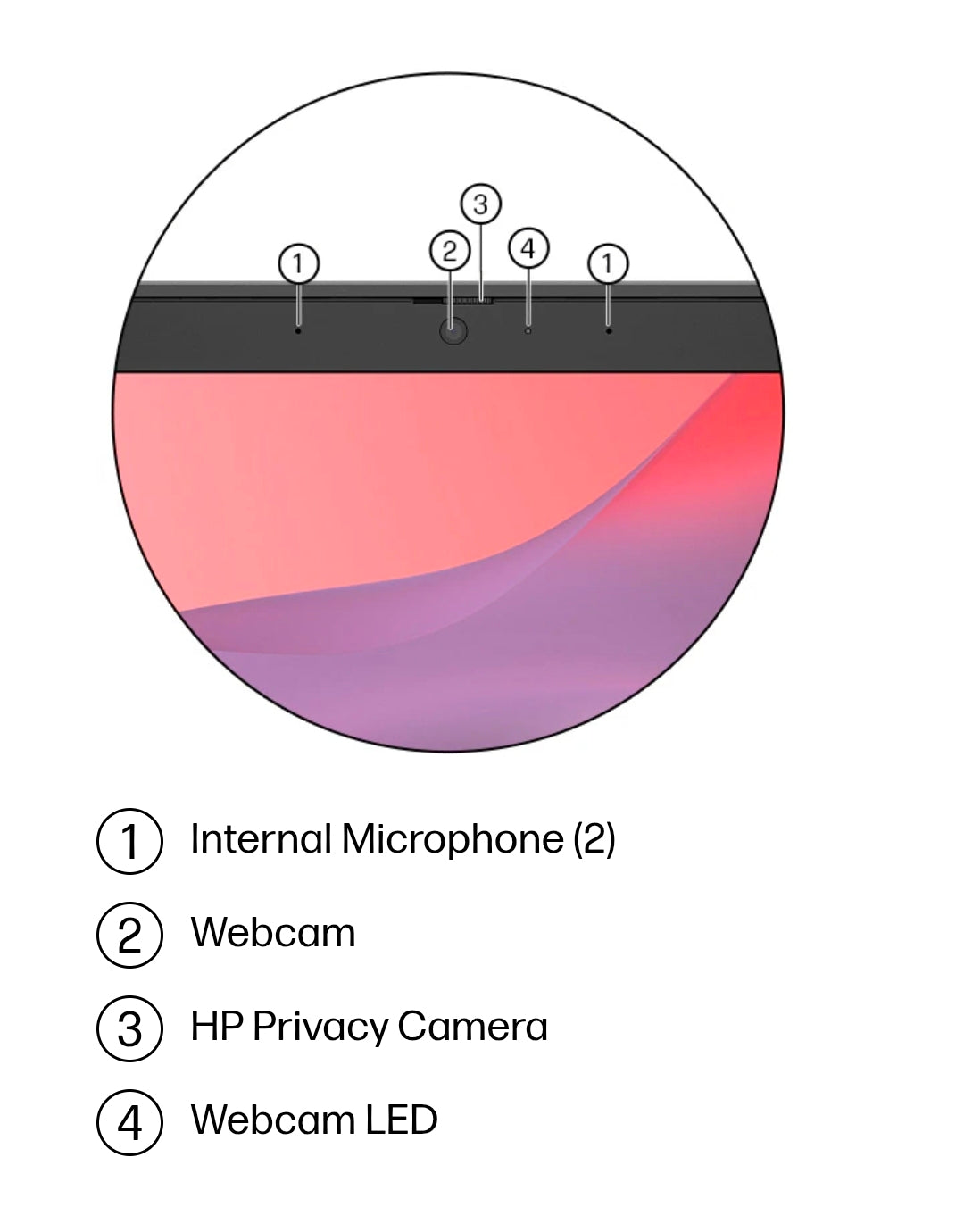 HP Fortis G1m 11.6" Rugged Chromebook